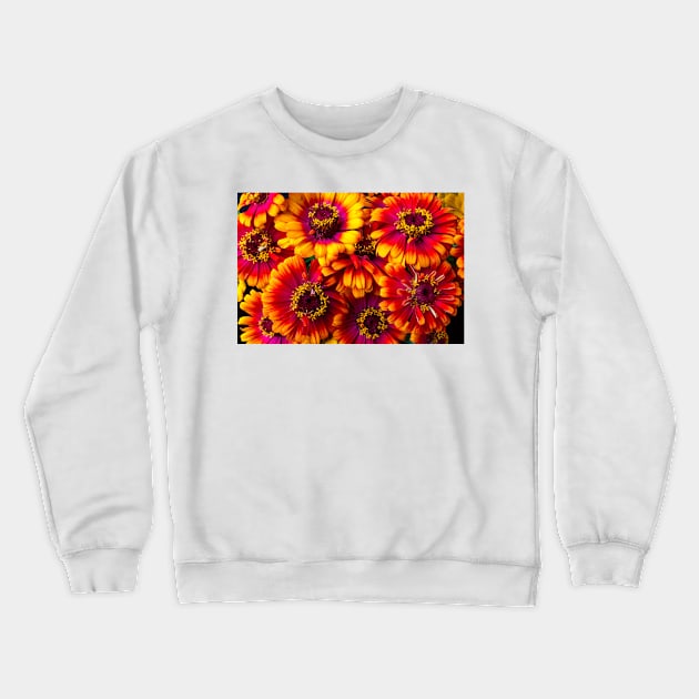 Beautiful Yellow And Red Zinnias Crewneck Sweatshirt by photogarry